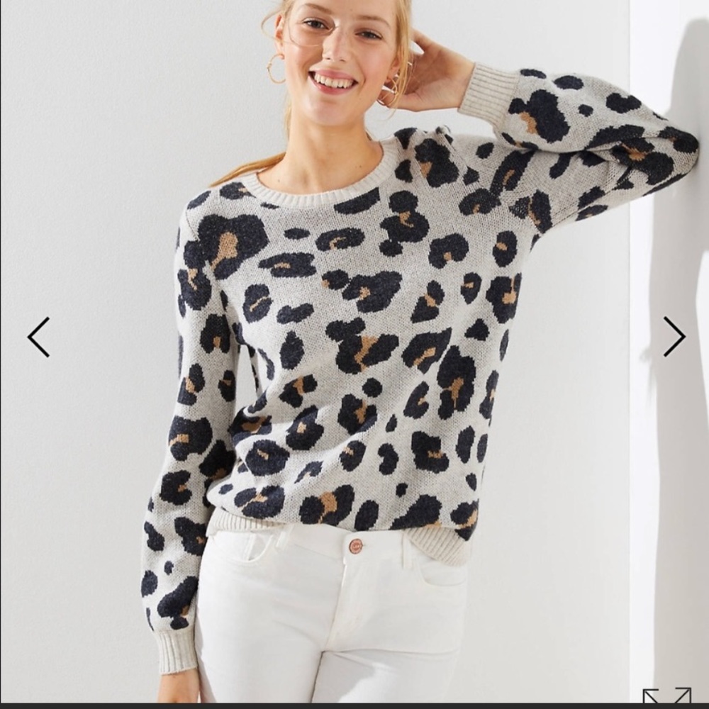 Loft Leo Sweater